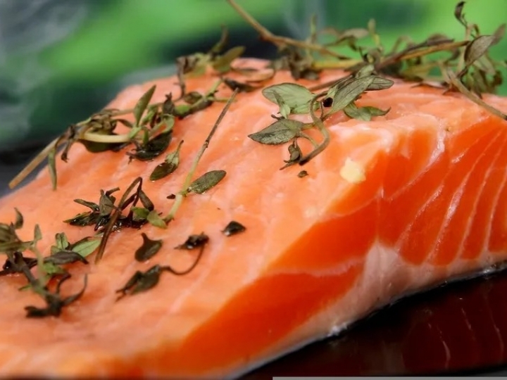 Cresce quase 30% exportação de salmão e truta chilenos ao Brasil no primeiro semestre