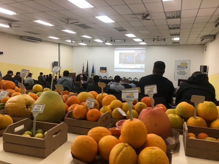 IAC treina citricultores de pequenas propriedades no Projeto Fruto Resiliente
