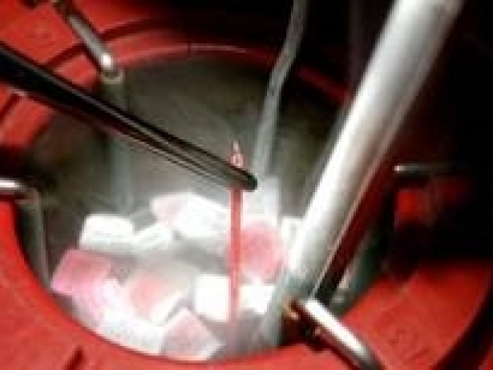 ASBIA solicitou e conseguiu mais tempo para analisar minuta de portaria do MAPA sobre estabelecimentos que processam sêmen e embriões