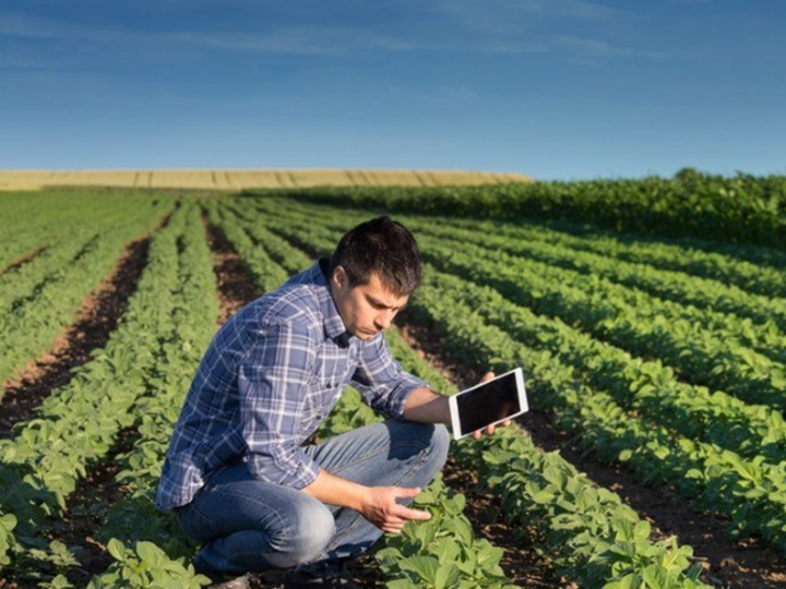  Curso gratuito de formação de peritos em seguros rurais