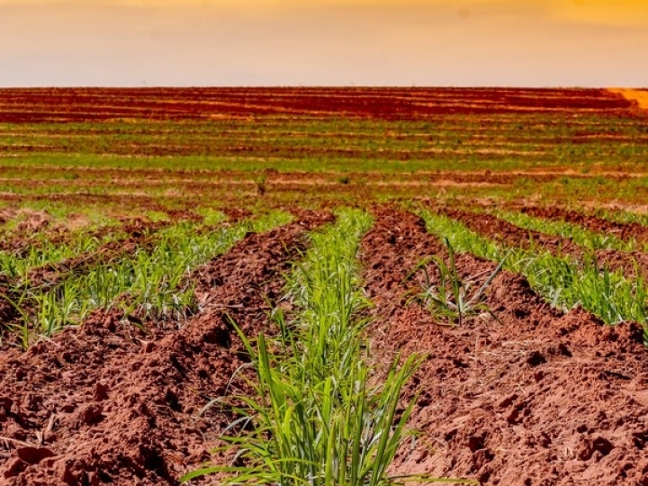 Atvos prevê retorno de R$ 5,8 milhões por safra com tecnologia de monitoramento e controle do processo de preparo de solo e plantio