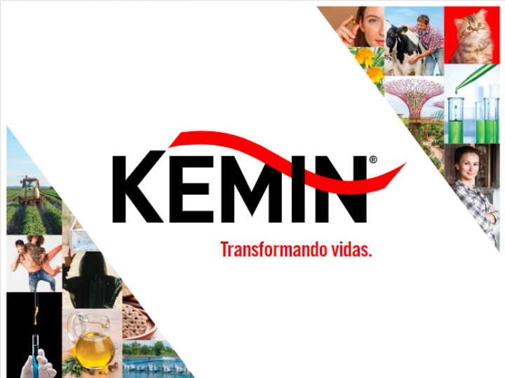 Kemin anuncia processo seletivo para Programa de Trainee