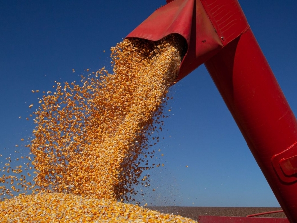 Foto: Agência Brasil