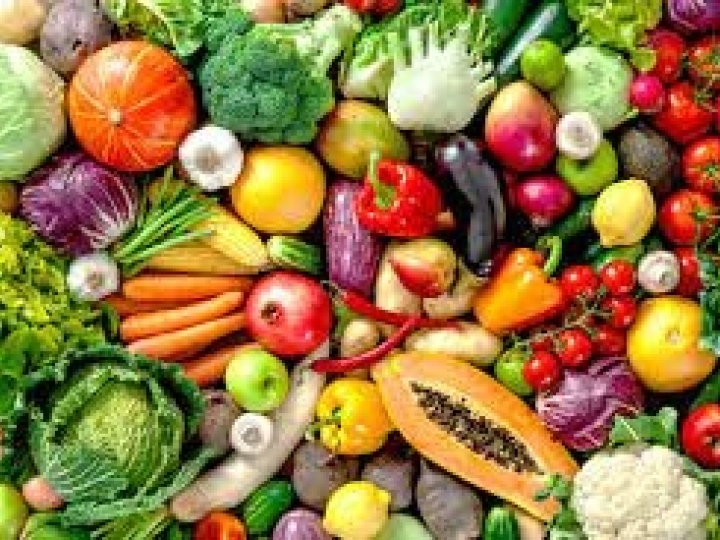 Curso de Tecnologia Pós-Colheita em Frutas e Hortaliças registra ampla participação feminina