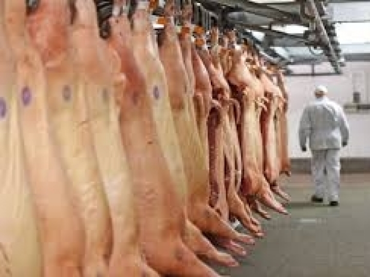 México abre mercado para a carne suína brasileira