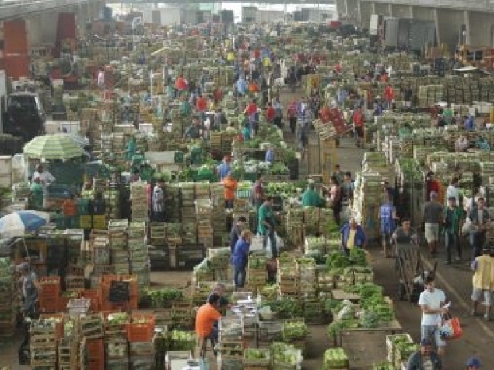 Em ação conjunta com o MAPA, Defesa Agropecuária fiscaliza rastreabilidade no CEAGESP 