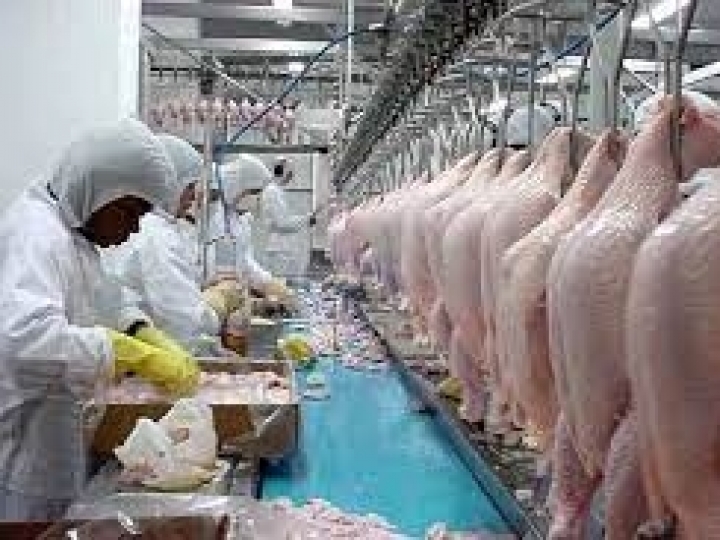 Com novas cotas de exportação estabelecidas, Brasil deve reforçar sua presença no mercado do Reino Unido