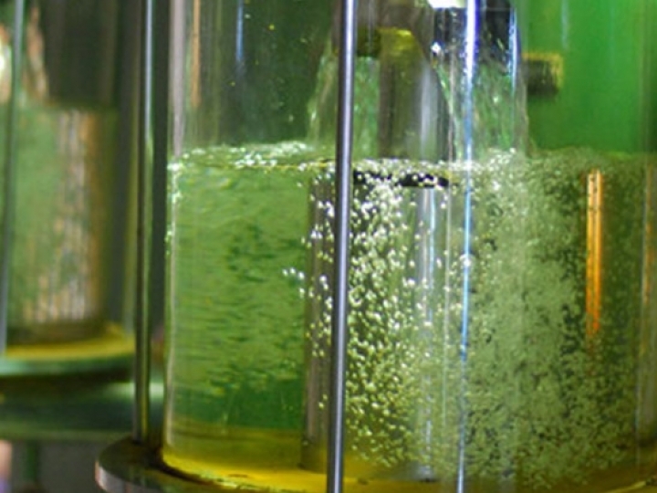 Copersucar aposta no etanol como solução imediata para a mobilidade sustentável