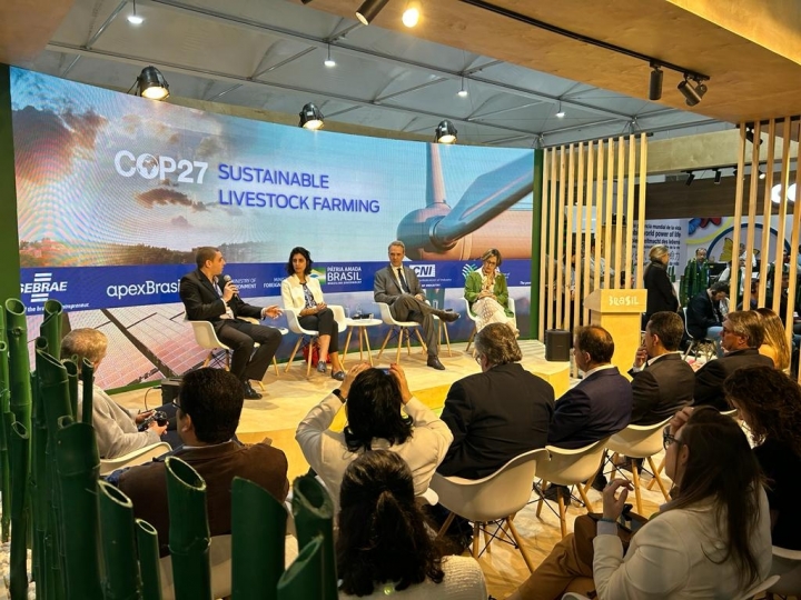 “Pecuária sustentável é produzir carne para todos para sempre”, diz presidente do Imac durante COP27