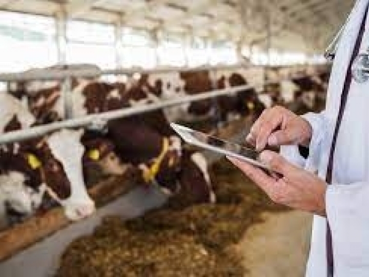 Secretário de Agricultura e Abastecimento do Estado assina convênio para contratação de veterinários 