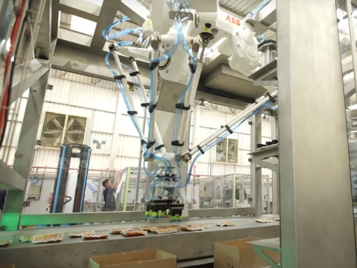 Produtor brasileiro de carne adota solução flexível de manipulação de produtos com robôs ABB