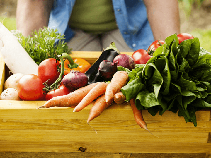 COP-27: CNA reafirma compromisso do Agro com segurança alimentar e sustentabilidade