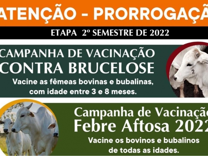 Acabam no sábado, campanhas de vacinação contra febre aftosa e brucelose no Estado de São Paulo 