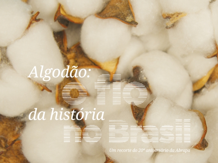 Abrapa lança livro sobre história da cotonicultura do Brasil