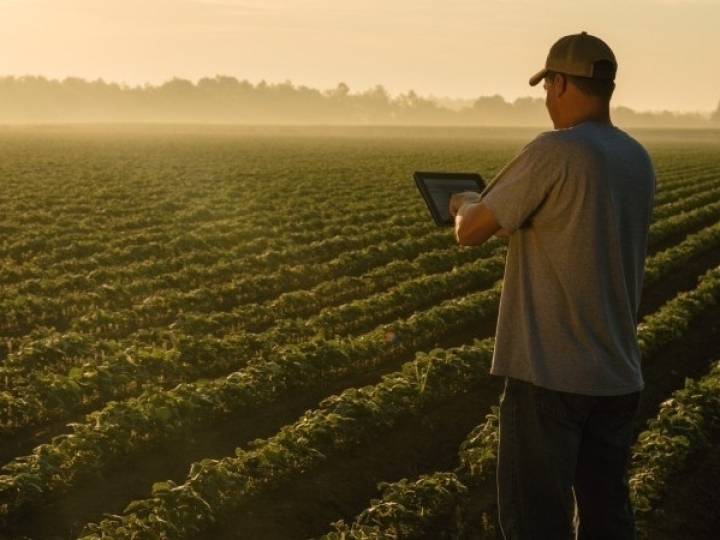 Curso técnico em agropecuária, oferecido pela Fundação Salvador Arena de forma totalmente gratuita, tem inscrições abertas até 16 de dezembro