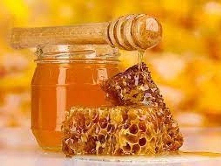 Mel do Norte de Minas terá apoio técnico e financeiro de entidade internacional