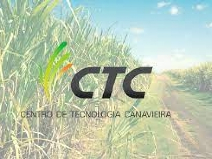 Centro de Tecnologia Canavieira (CTC) oferece vagas para estágio em Piracicaba