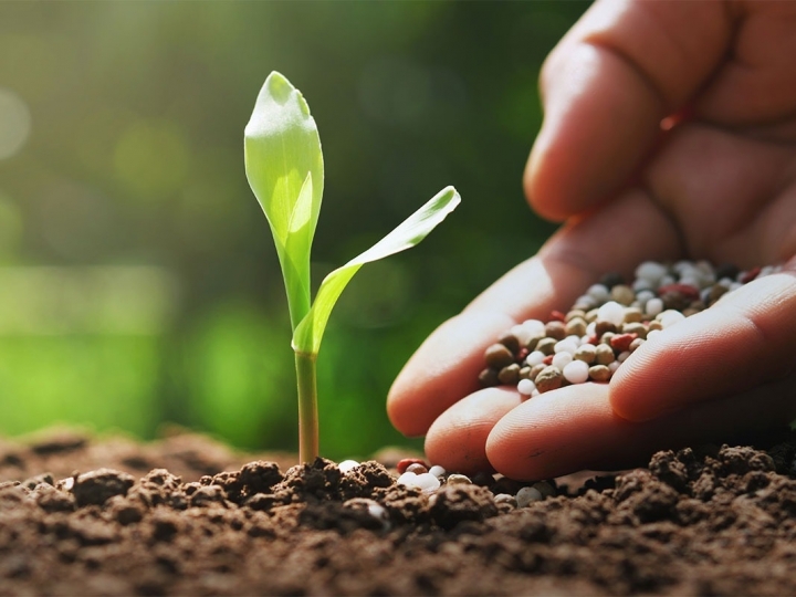 Brasil x Canadá: importação de fertilizantes bate recorde histórico de R$ 17,2 bi