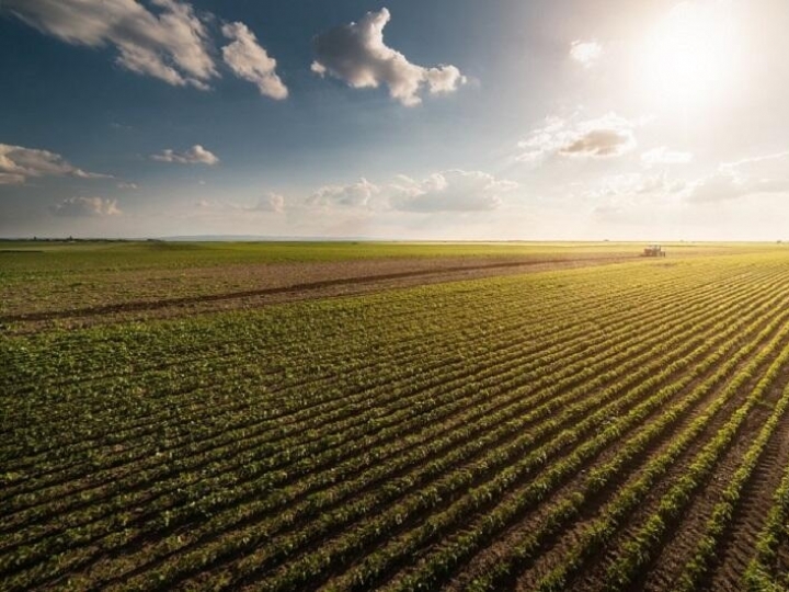 Valor da Produção Agropecuária fecha 2022 em R$ 1,189 trilhão