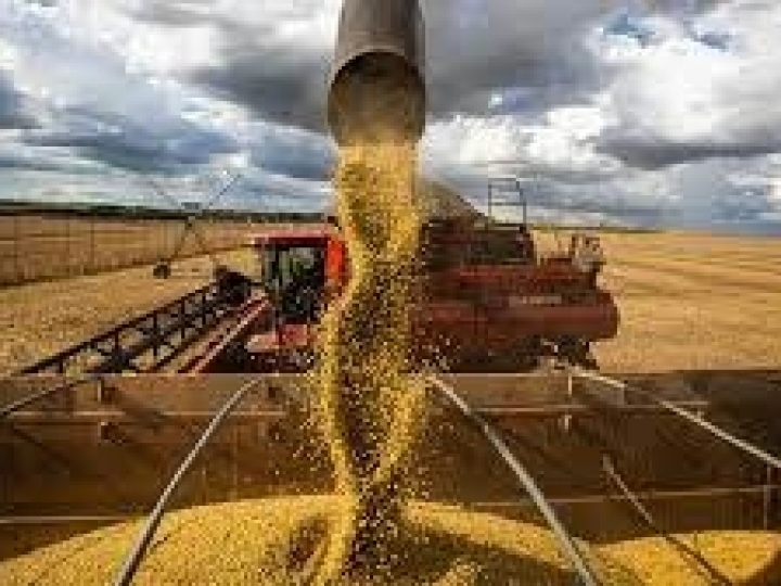 Agronegócio Paulista tem saldo recorde em 2022 