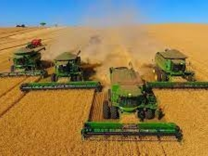 Monitoramento Agrícola registra boas condições de desenvolvimento na safra 2022/2023