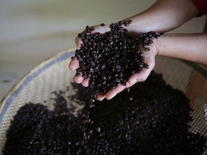 Novo padrão para café torrado entra em vigor e indústria já está se preparando