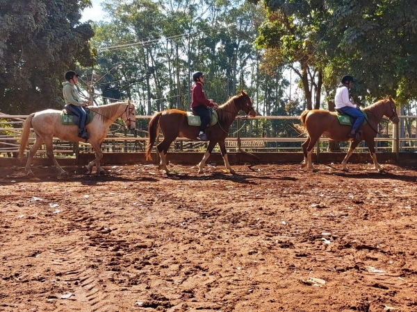 Paratletas de Ribeirão Preto e cidades da região se preparam para participar do evento dia 21/01. Foto: Divulgação