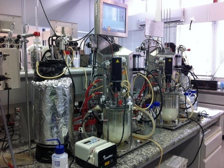 Estudo possibilita criação de levedura modificada especificamente para produzir etanol de segunda geração