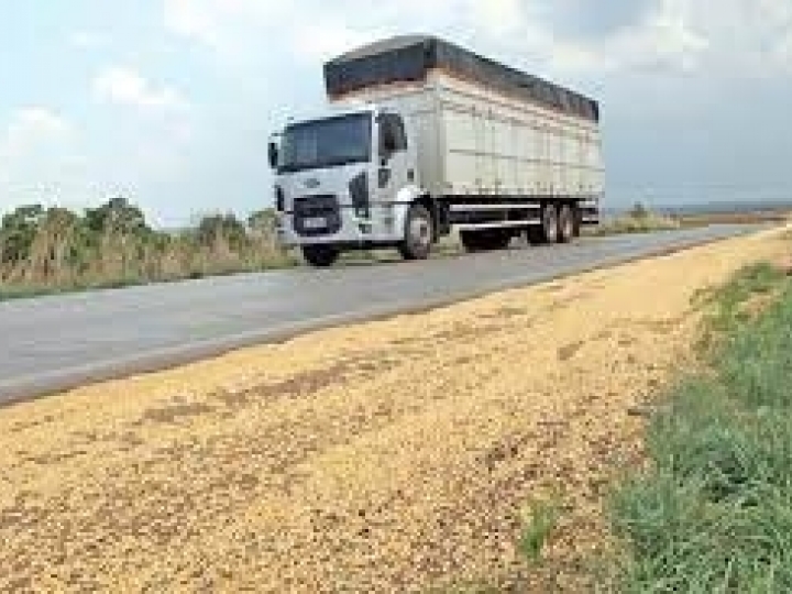 Alimentos podem chegar mais baratos aos supermercados com investimento em rodovias