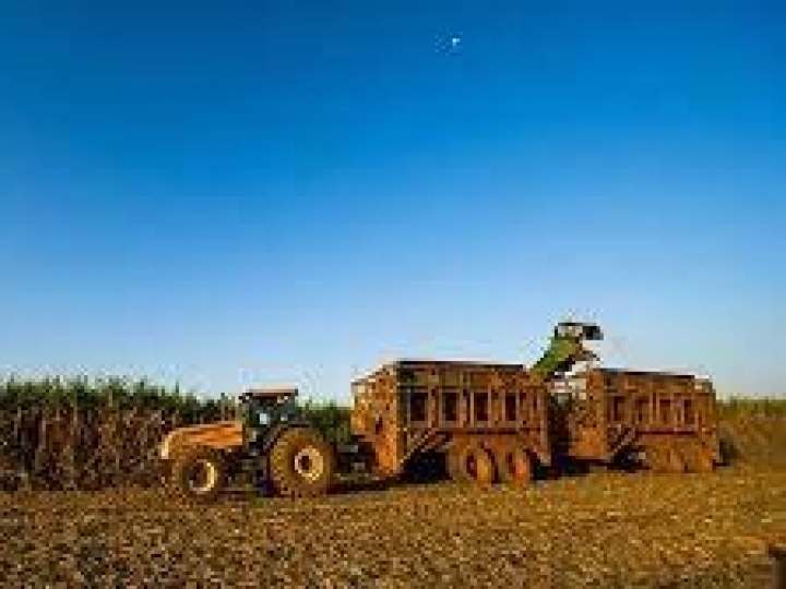 Certificação de Parque de Bioenergia em Morro Agudo (SP) consolida Raízen como maior produtora de cana-de-açúcar sustentável
