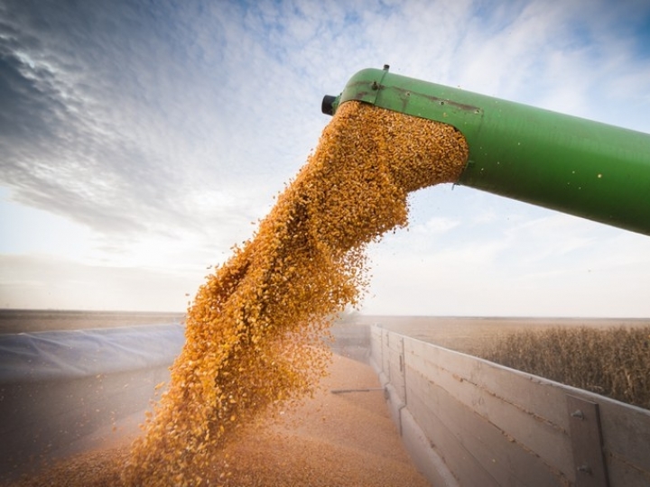 Conab estima safra de grãos em 309,9 milhões de t, influenciada pelo aumento de 20,6% na produção de soja