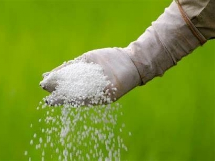 Canal direto com a indústria pode reduzir custo para aquisição de fertilizantes 