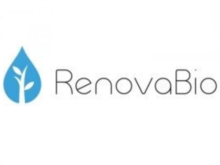 Brasil pode aproveitar modelo do Renovabio para expandir descarbonização enquanto não há regulação do mercado de carbono, afirma especialista