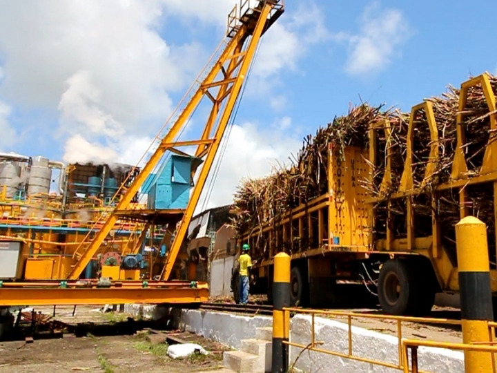 Recuperada por fornecedores, usina renasce na pandemia e projeta terceira safra com crescimento