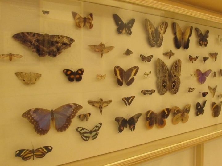 Planeta Inseto é uma boa opção de lazer para as férias escolares 