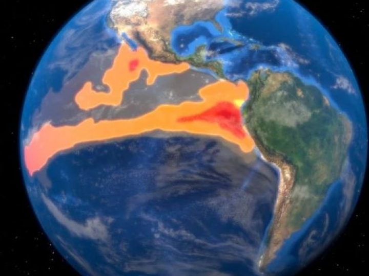 Fenômeno climático El Niño exige atenção na escolha de cultivares 