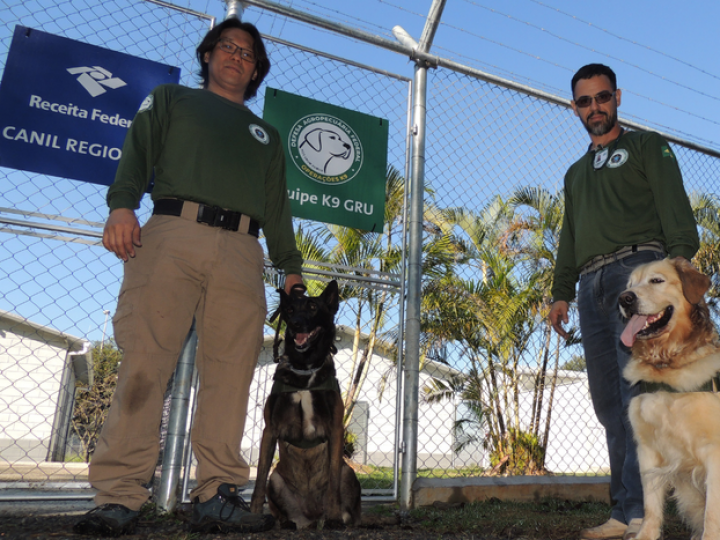Cães farejadores do Mapa chegam ao aeroporto de Guarulhos para reforçar a fiscalização