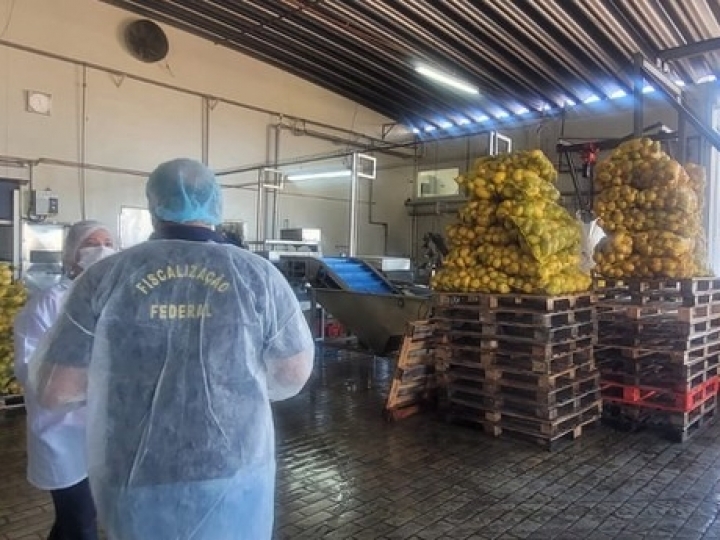 Força-tarefa fiscaliza 22 estabelecimentos de bebidas e fecha quatro em São Paulo