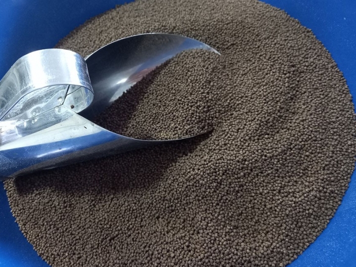 Levedura é opção econômica e sustentável para a alimentação de peixes