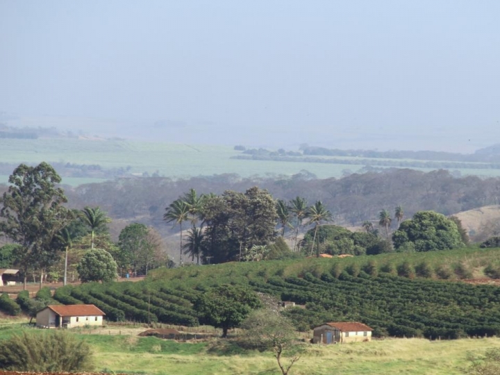 Secretaria de Agricultura e Ministério Público discutem procedimentos para revisão dos Termos de Ajustamento de Conduta firmados com proprietários de imóveis rurais