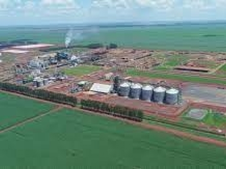 CerradinhoBio anuncia resultados do 1T23/24, pautada por diversificação e crescimento