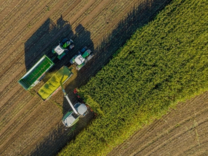 Aditivo conservante garante silagem e feno de qualidade além de aumentar o rendimento de matéria seca