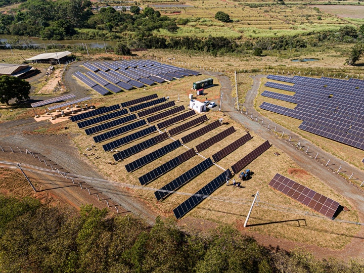 Do dimensionamento à gestão de todas as etapas: BYD passa a oferecer EPC para grandes usinas fotovoltaicas